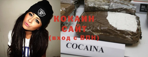 шишки Балабаново