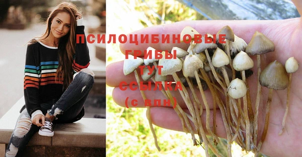 шишки Балабаново