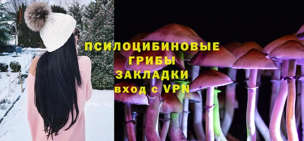 шишки Балабаново